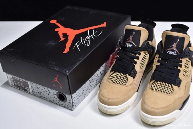 Air Jordan 4 Mushroom AQ9129-200 0821
